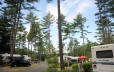 Pines (sites 300-354) Campsite Area – Full Hook Up – Pull Through Sites