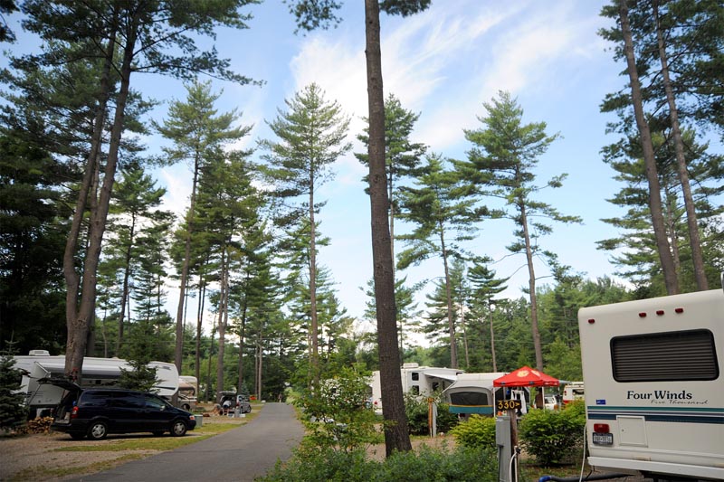 Pines (site 300-354) Campsite Area - Fabulous Shaded Pull-throughs