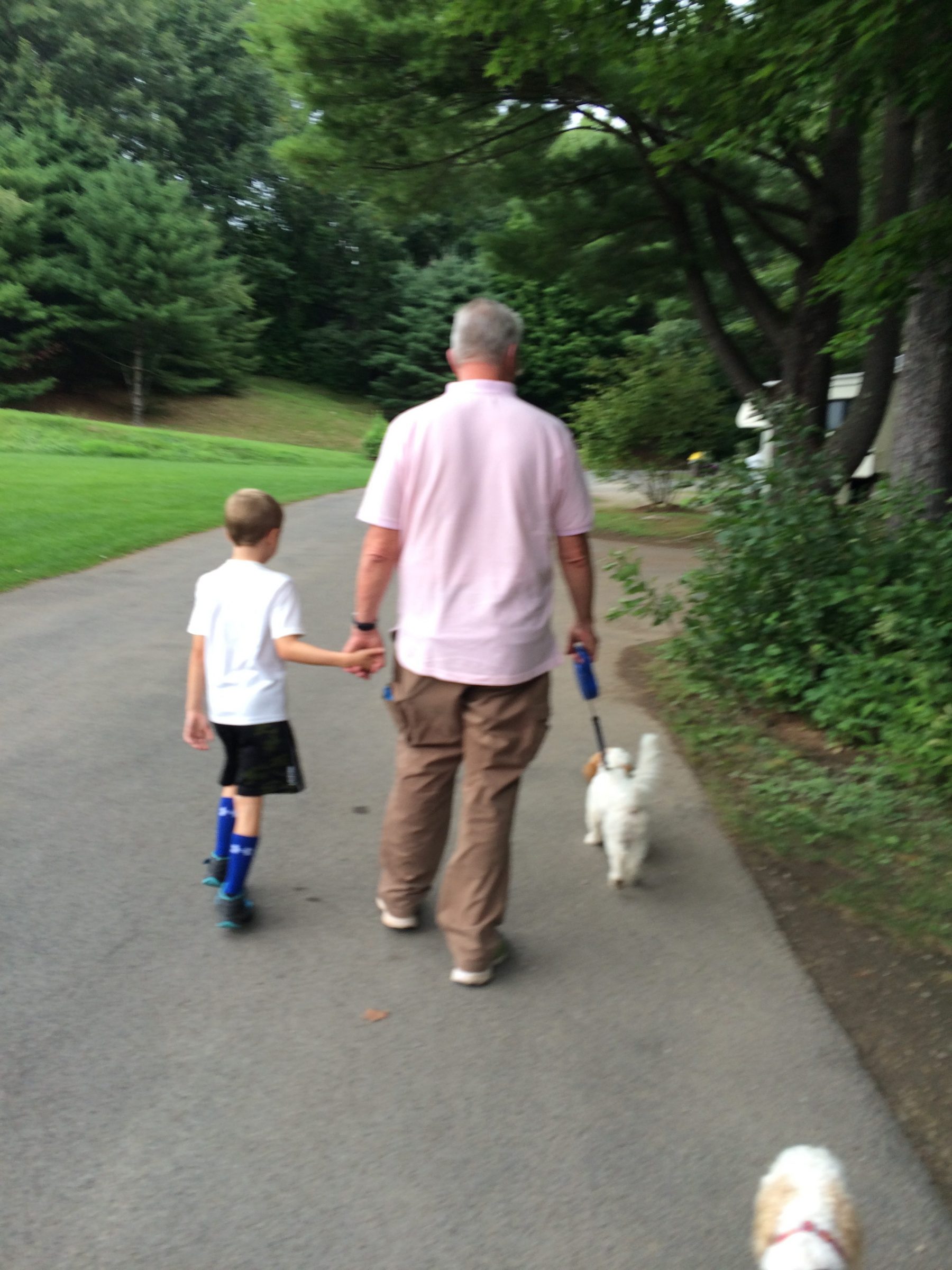 Dad and son walking dog