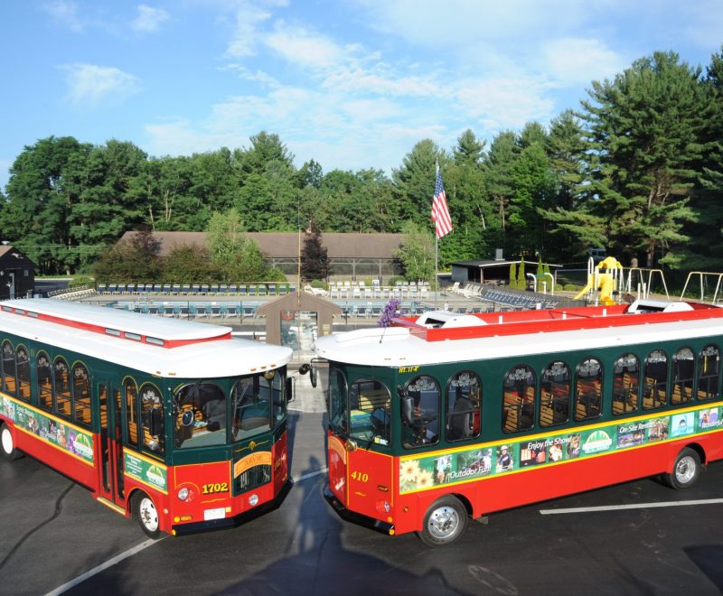 Trolleys parked for picture