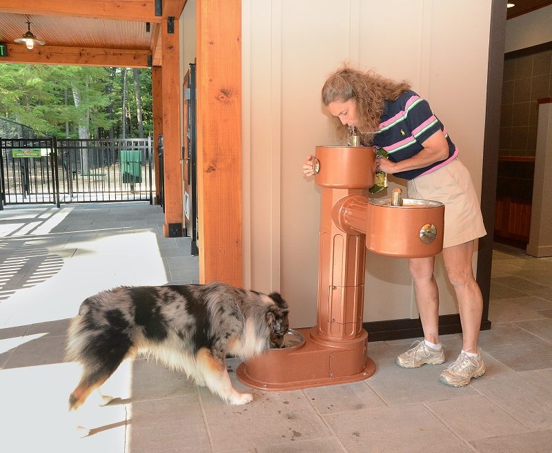 Water fountains for dogs and people