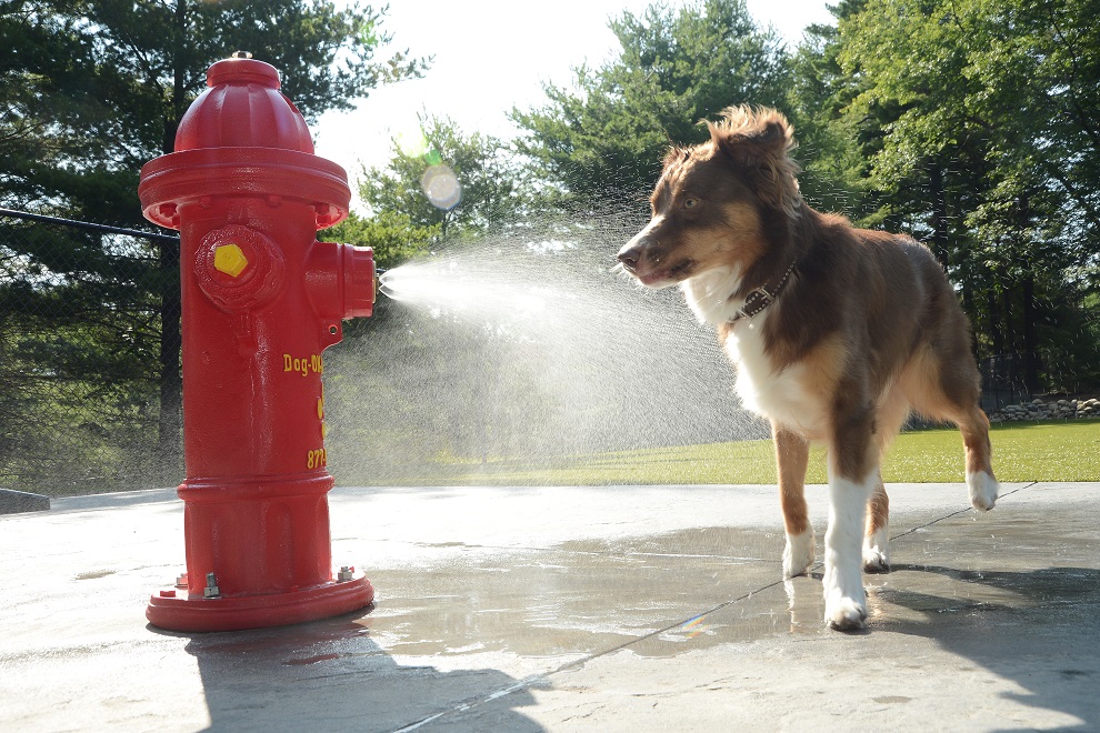 Cooling Off