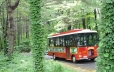 Our park Trolley has 12 stops throughout the park