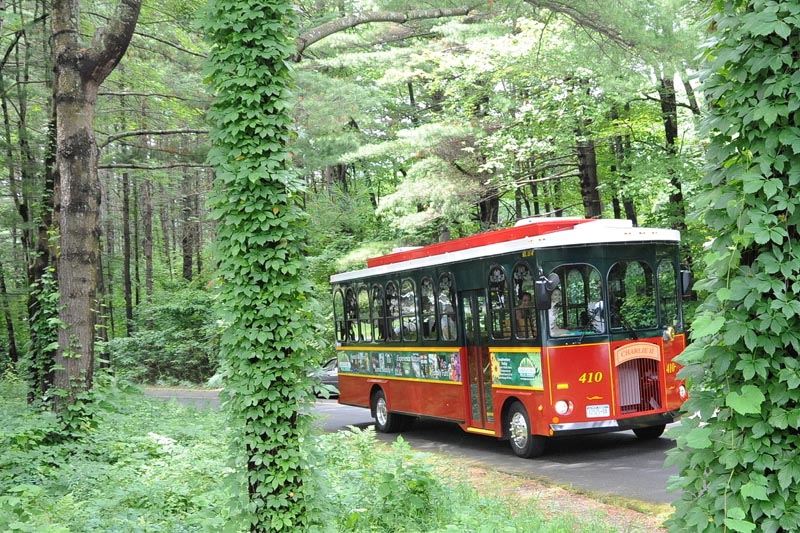Trolley driving through woods