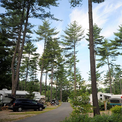 Looking down one of our roads, showing RV's in site