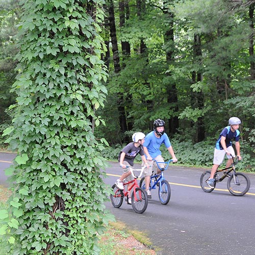 Children riding bikes on our bike path