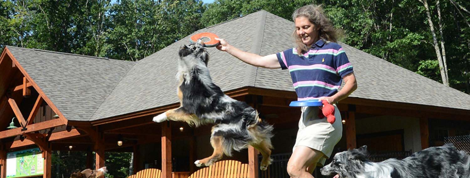 Woman playing frisbee with two dogs at Charlie's Bark Park