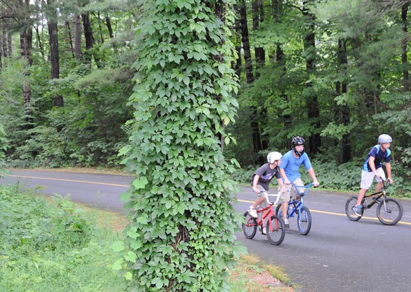 Children riding bikes on our bike path