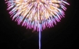 Don’t miss Thursday night fireworks over Lake George (Summer Only)