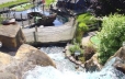 Multiple top rated mini-golf courses (Pirates Cove)
