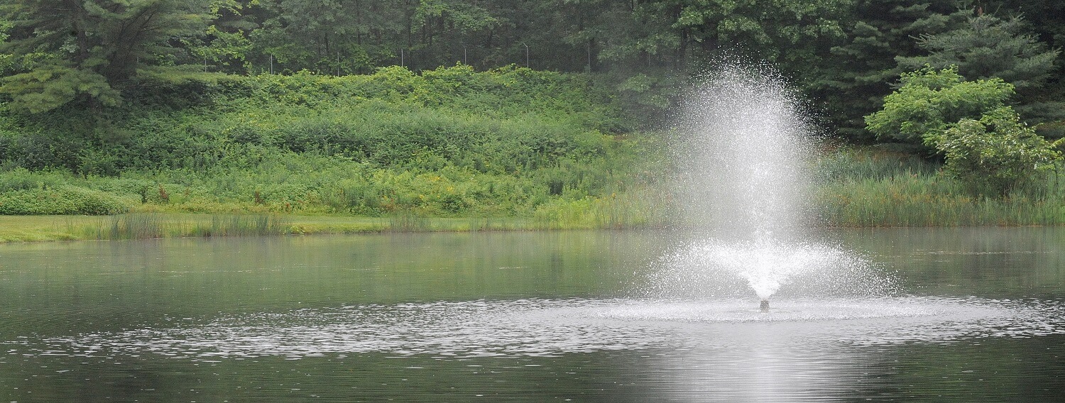 Water fountain in our fishing pond