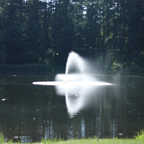 Fountain in pond