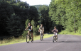 family bike ride on bike path